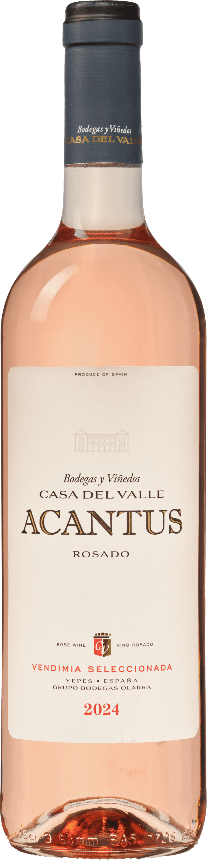 Acantus Rosado